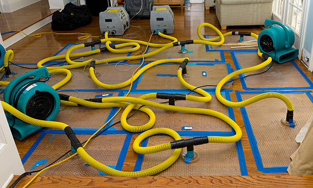 Professional Burst Pipe Water Damage technician working in Jolley, IA